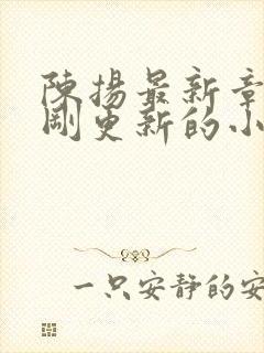 陈扬最新章节刚刚更新的小说