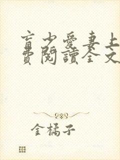 盲少爱妻上瘾免费阅读全文