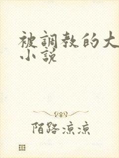 被调教的大小姐小说