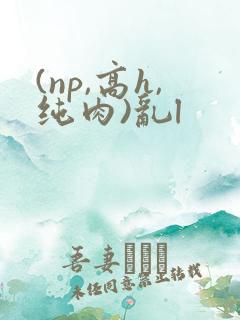 (np,高h,纯肉)乱l