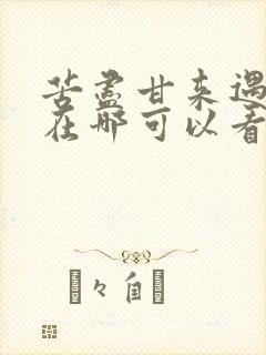 苦尽甘来遇见你在哪可以看