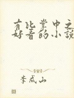 有比掌中之物更好看的小说吗