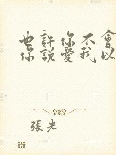 也许你不会懂从你说爱我以后是什么歌