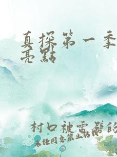 真探第一季全部亮点