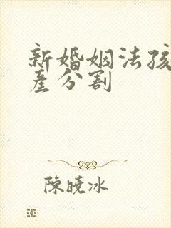 新婚姻法孩子财产分割