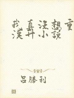 我真没想重生陈汉升小说