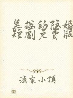 慕总的隐婚罪妻短剧免费版