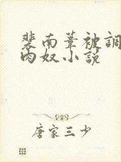 裴南苇被调教成肉奴小说