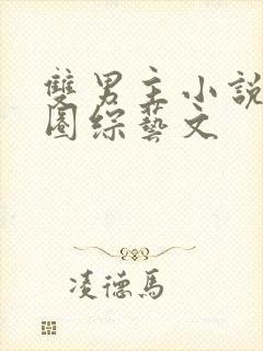 双男主小说娱乐圈综艺文