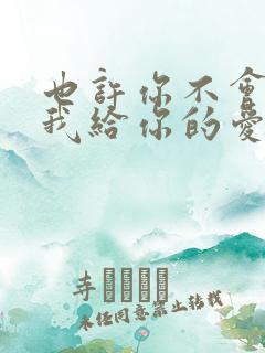 也许你不会明白我给你的爱是什么歌