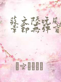 苏文陆晚风最新章节无弹窗笔趣阁