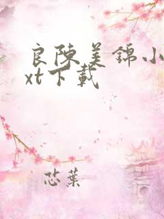 良陈美锦小说txt下载