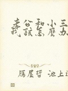 老公和小三同居我该怎么办