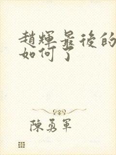 赵辉最后的结局如何了