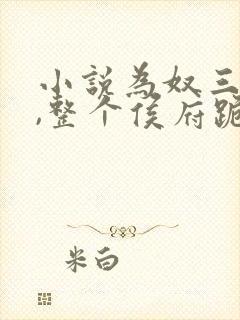 小说为奴三年后,整个侯府跪求我原谅