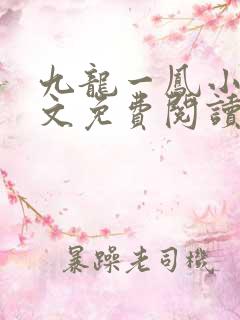 九龙一凤小说全文免费阅读无弹窗