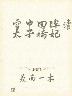 雪中回眸清穿之太子娇妃