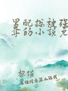 男配总被强取豪夺的小说免费阅读