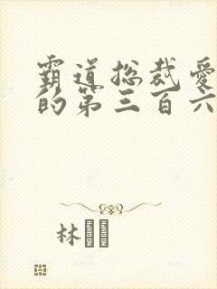 霸道总裁爱上我的第三百六十五天