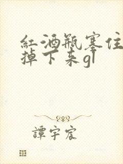 红酒瓶塞住不准掉下来gl