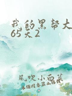 我的黑帮大佬365天2