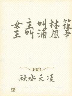 女主叫林筱帆男主叫浦应辛的小说