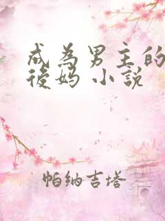 成为男主的反派后妈 小说
