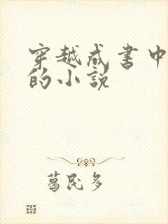 穿越成书中反派的小说