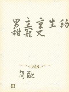 男主重生的po甜宠文