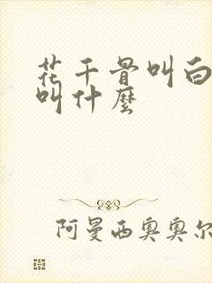 花千骨叫白子画叫什么