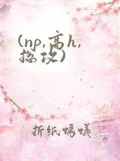 (np,高h,总攻)