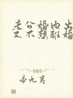 老公婚内出轨我又不想离婚怎么办?