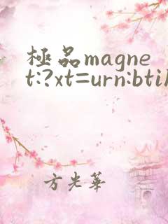极品magnet:?xt=urn:btih