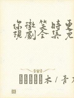 你微笑时更美电视剧全集免费观看