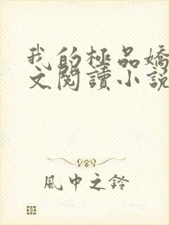 我的极品娇妻全文阅读小说