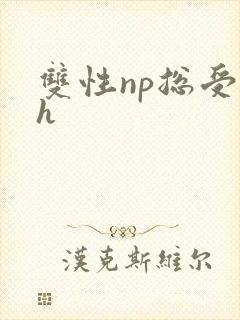 双性np总受高h