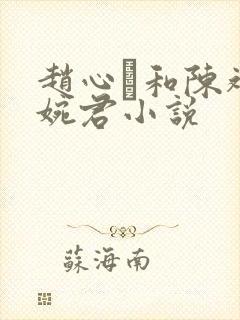 赵心睸和陈斌高婉君小说