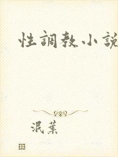 性调教小说男男