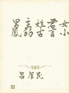 男主姓君女主姓凤的古言小说