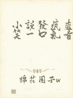 小说发疯爽文爆笑一口气看完