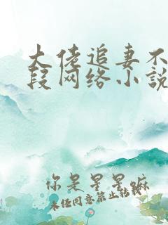 大佬追妻不择手段网络小说