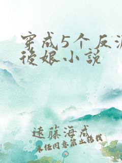 穿成5个反派的后娘小说