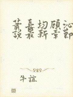 萧长均顾沁儿小说最新章节免费阅读