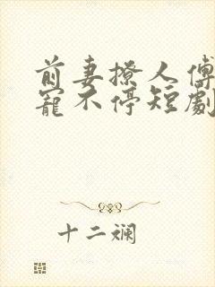 前妻撩人傅先生宠不停短剧合集