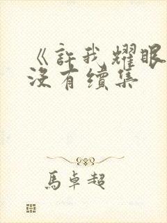 《许我耀眼》有没有续集