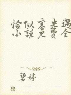 恰似寒光遇骄阳小说免费全本阅读