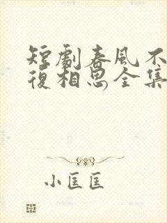 短剧春风不言勿复相思全集