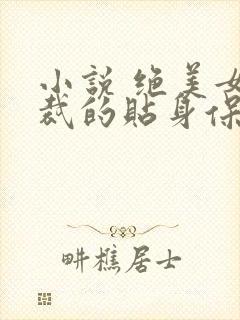 小说 绝美女总裁的贴身保安