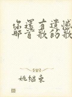 你还有遗憾吗是哪首歌的歌词