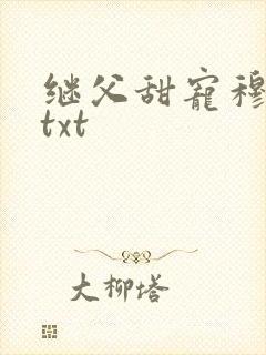 继父甜宠穆先生txt